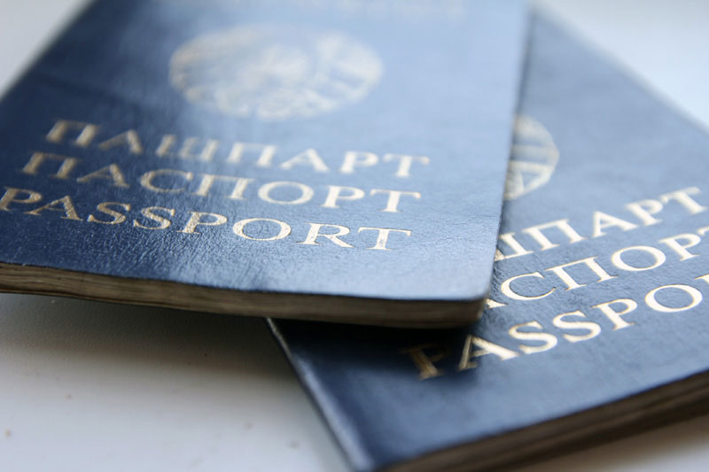 pasport-zaglushka